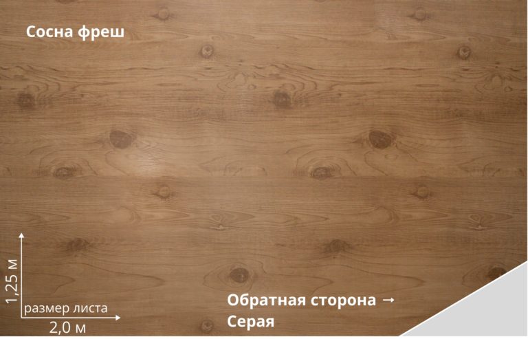 Сосна